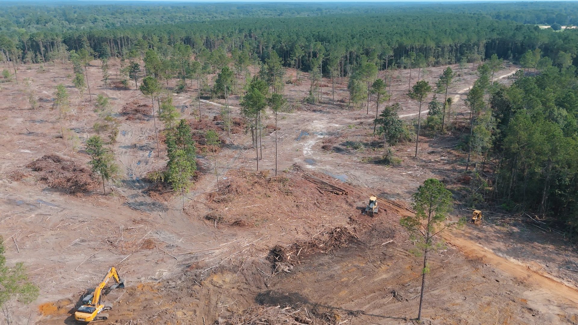Cleared timber lot with an excavator working the site.