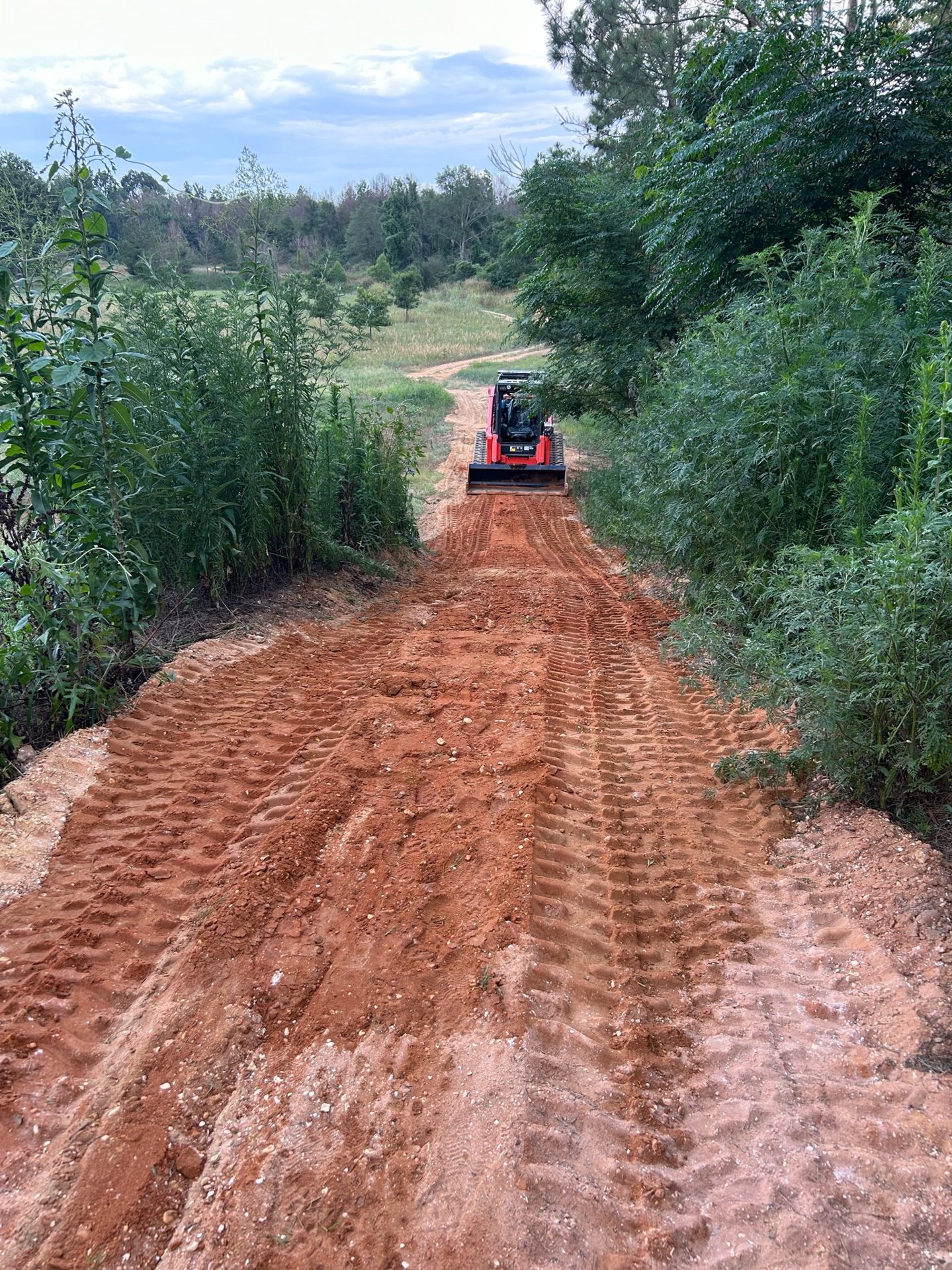 Graded dirt drive through wooded property.
