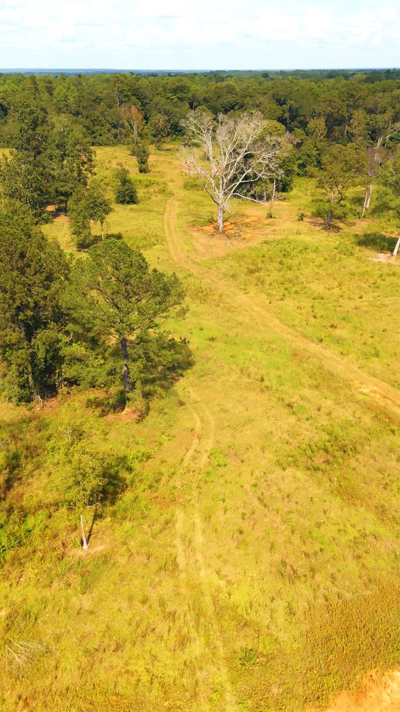 Cleared homesite in an open field.